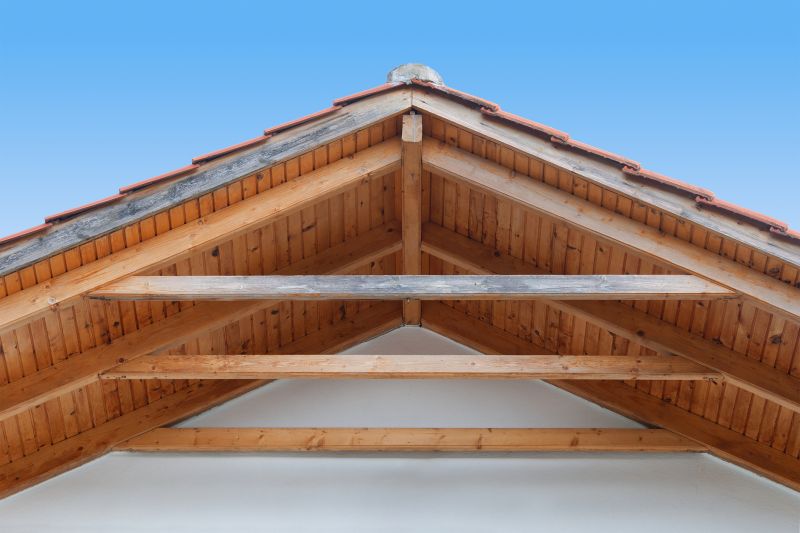 Porch Framing in Conroe, TX