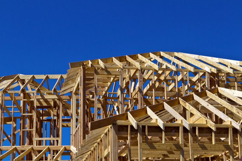 Building Addition Framing in Conroe, TX