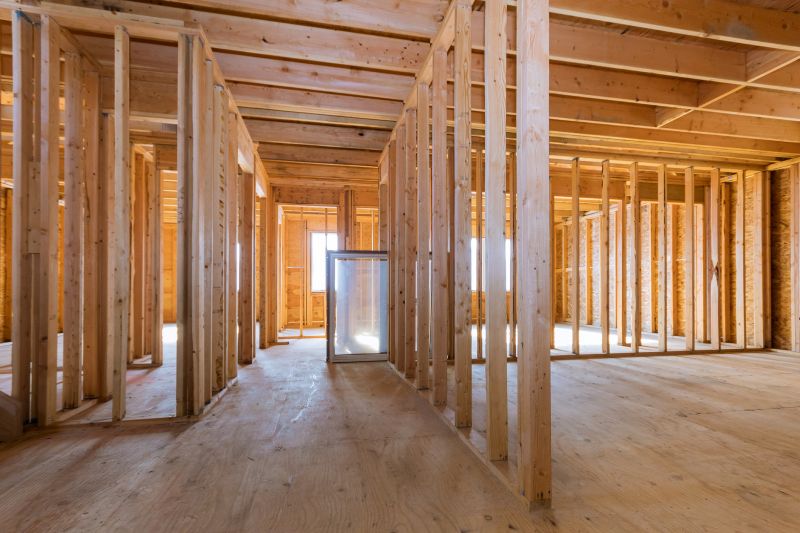 Renovation Framing in Conroe, TX
