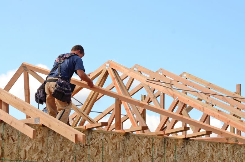 Roof Sheathing Service in Conroe, TX